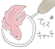 poisson d'avril sticker #10043512