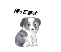 border collie puppy sticker #10043690