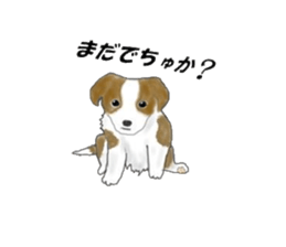 border collie puppy sticker #10043692