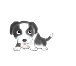 border collie puppy sticker #10043695