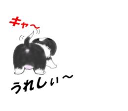 border collie puppy sticker #10043697