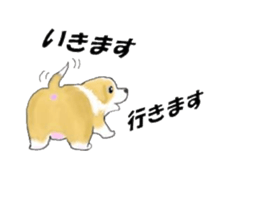 border collie puppy sticker #10043700