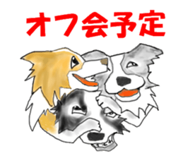 border collie puppy sticker #10043707