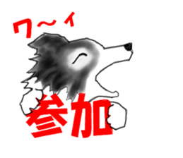 border collie puppy sticker #10043708