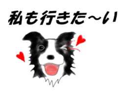 border collie puppy sticker #10043710