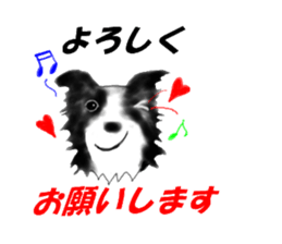 border collie puppy sticker #10043711