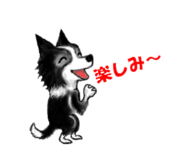 border collie puppy sticker #10043714