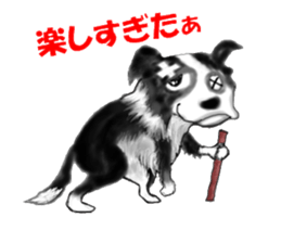 border collie puppy sticker #10043716