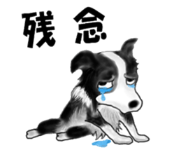 border collie puppy sticker #10043719