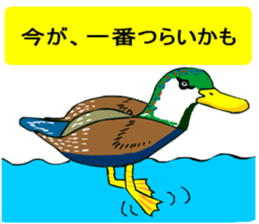 Yurukawa message2 sticker #10046270