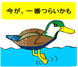 Yurukawa message2 sticker #10046270