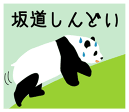 Panda in Kobe 2 sticker #10047170