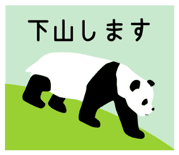 Panda in Kobe 2 sticker #10047171