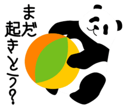 Panda in Kobe 2 sticker #10047172