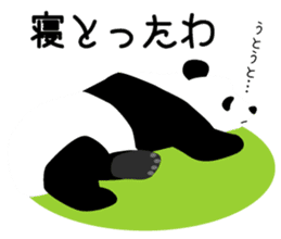 Panda in Kobe 2 sticker #10047174