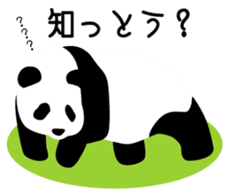 Panda in Kobe 2 sticker #10047176