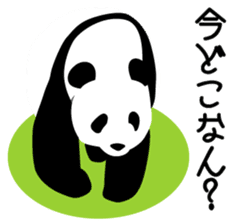 Panda in Kobe 2 sticker #10047180