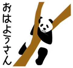 Panda in Kobe 2 sticker #10047190