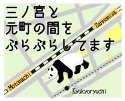 Panda in Kobe 2 sticker #10047194