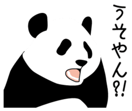 Panda in Kobe 2 sticker #10047205