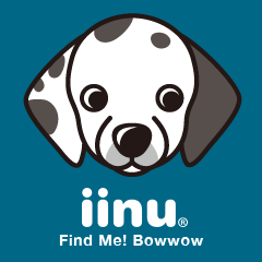 iinu - Dalmatian