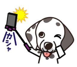 iinu - Dalmatian sticker #10047369