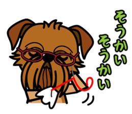 iinu - Brussels Griffon sticker #10047572