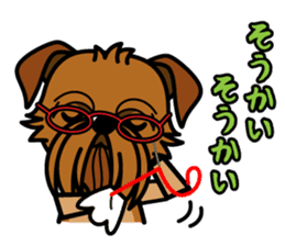 iinu - Brussels Griffon sticker #10047572