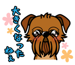 iinu - Brussels Griffon sticker #10047589