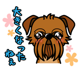iinu - Brussels Griffon sticker #10047589