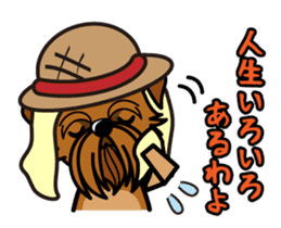 iinu - Brussels Griffon sticker #10047599