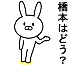 Rabbit to HASHIMOTO sticker #10047769