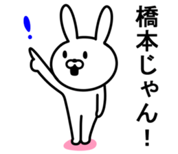 Rabbit to HASHIMOTO sticker #10047770