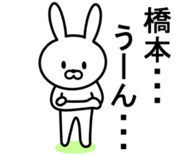 Rabbit to HASHIMOTO sticker #10047772