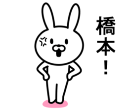 Rabbit to HASHIMOTO sticker #10047773