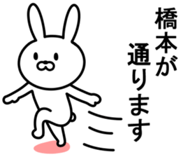 Rabbit to HASHIMOTO sticker #10047774