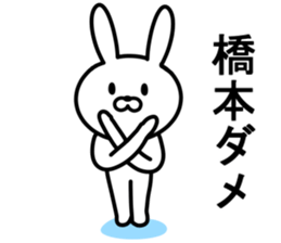 Rabbit to HASHIMOTO sticker #10047777