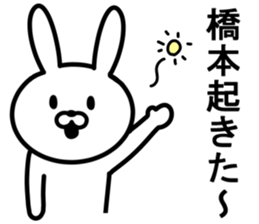 Rabbit to HASHIMOTO sticker #10047778