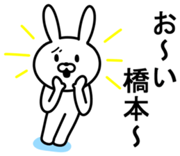 Rabbit to HASHIMOTO sticker #10047781