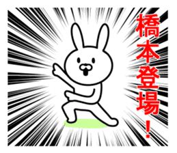 Rabbit to HASHIMOTO sticker #10047782