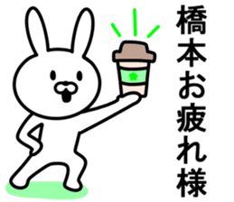 Rabbit to HASHIMOTO sticker #10047783