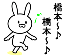 Rabbit to HASHIMOTO sticker #10047784