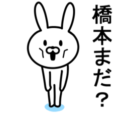 Rabbit to HASHIMOTO sticker #10047785