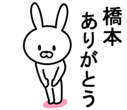 Rabbit to HASHIMOTO sticker #10047789