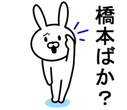 Rabbit to HASHIMOTO sticker #10047790
