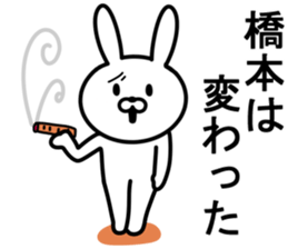 Rabbit to HASHIMOTO sticker #10047791
