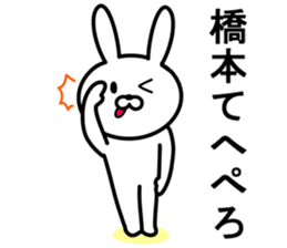 Rabbit to HASHIMOTO sticker #10047793