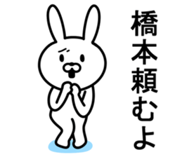 Rabbit to HASHIMOTO sticker #10047797