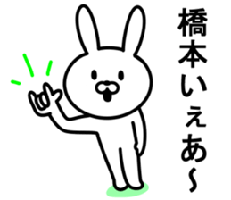 Rabbit to HASHIMOTO sticker #10047801
