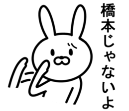 Rabbit to HASHIMOTO sticker #10047807